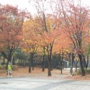 호수 청구(아) 이미지