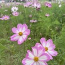 창내농장 이미지