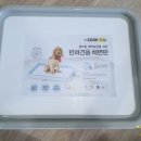 결론 | [내돈내산] 다이소 강아지 배변판 사용후기, 결론은 이거 강추해요!!