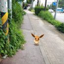 달감하루