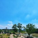 보성정미소 | 충남 예산 대형 카페 이리정미소 로스팅 베이커리 카페 디저트 맛집