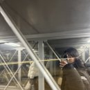 한밭 동물병원 | [[[핀란드 여행 1: 느좋도시 헬싱키 레이오버 그리고 산타빌리지]]]