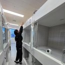 양산독케어 네이버블로그