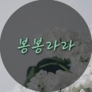 라라라라스토어