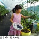 폰트랩가의이야기 이미지