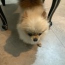 시원시원아로마 이미지