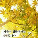 해찬솔(주) 이미지