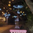 안산공원 | 서울 안산공원 벚꽃 실시간 후기, 지금 가도 될까? 밤에 더 예쁜 이유 (주차·코스 정리)