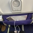 중국동방항공 프랑크푸르트 상하이 푸동공항 와이파이 경유 환승 기내식 후기