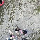 성진자연펜션 이미지