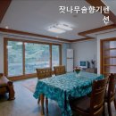 잣나무솔향기