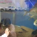 새무지개약국 이미지