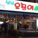 싱싱오징어 이미지