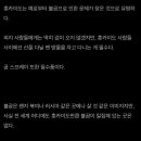 홋카이도대학 산악부가 곰한테 쫓기던 썰 기록한 글 봤는데 이미지