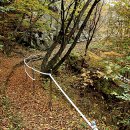 예당임존성낚시터 이미지