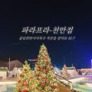 상덕로 | 천안 애견동반 식당 파라프라 천안점 | 텐트·카바나 내돈내산 후기