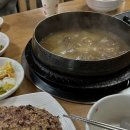 천년오리 이미지