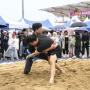 스포츠파크 씨름장 이미지
