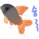코리 이미지