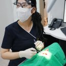 인플랜치과의원 이미지