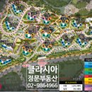 클라시아정문단지내공인중개사사무소 이미지