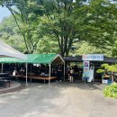 수원-0542 | [경기도 광주] 내돈내산 서울 근교 계곡 식당 물놀이 가능한 "퇴촌 소나무집" 솔직 후기!