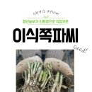 광덕 쇼핑하우