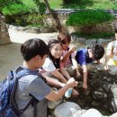 수원-0901 이미지