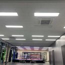 세종복싱 반곡점 이미지