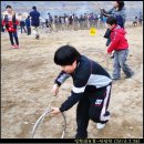 경기 명소순례 : 시화호-인천대교- 안양천 대보름축제 이미지