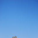 예술조형물(바람개비 이미지