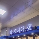 꼬시다;꽃 이미지