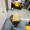 사러가약국 | 요기 갔다 죠기 갔다