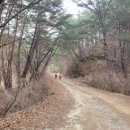 치악산둘레길 7코스 싸리지옛길 이미지
