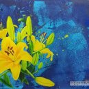 이진수지 이미지