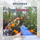광주근교체험농장 - 담양 꿈에그린농장