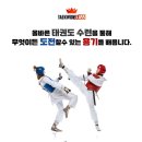 국제키즈태권도 이미지