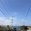 일미 | 제주 세화 가성비최고 횟집 "일미도" 내돈내산후기