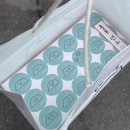 제주 동쪽 혼자 여행 4일차 용눈이오름 비자림 세화 뚜벅이 여행 코스