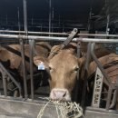 버거킹 경남거창점 이미지