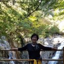 계룡목장2 이미지