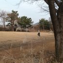 강호 특공무술 이미지