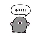 모아푸드 이미지