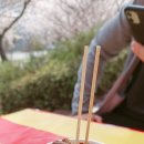 낙동제방길-1 이미지