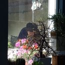 오월정원 Daum카페