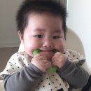 내동지 이미지