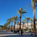 인디고트래블 몬세라트+시체스 투어 _ 시체스 편, merci sitges 메르시 시체스 식당, jijonenca 젤라또