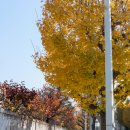 춘천여자고등학교 이미지