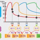 공부의힘학원 네이버블로그