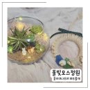 힐링원예협동조합 이미지